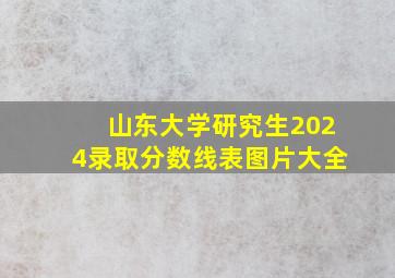 山东大学研究生2024录取分数线表图片大全