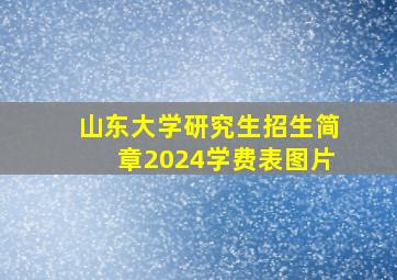 山东大学研究生招生简章2024学费表图片