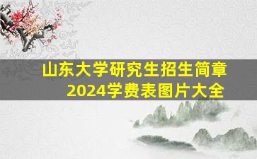 山东大学研究生招生简章2024学费表图片大全