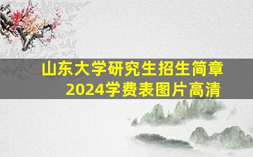 山东大学研究生招生简章2024学费表图片高清