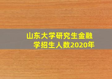 山东大学研究生金融学招生人数2020年