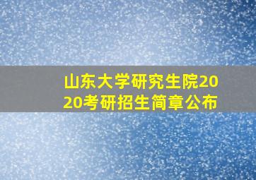 山东大学研究生院2020考研招生简章公布