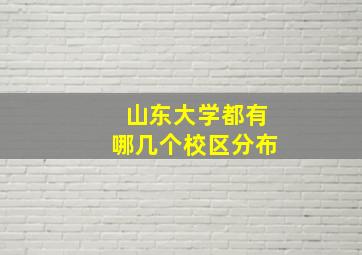 山东大学都有哪几个校区分布