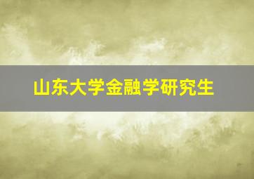 山东大学金融学研究生