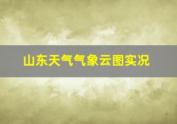 山东天气气象云图实况