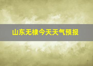 山东无棣今天天气预报