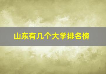 山东有几个大学排名榜