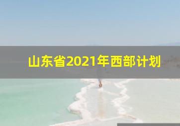 山东省2021年西部计划