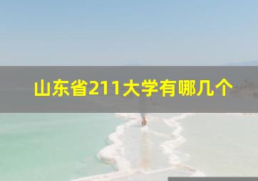 山东省211大学有哪几个