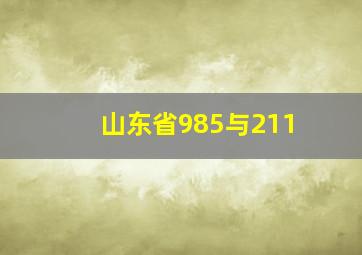 山东省985与211