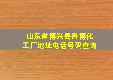 山东省博兴县鲁博化工厂地址电话号码查询