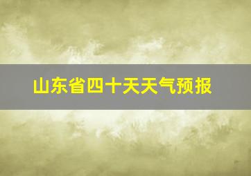 山东省四十天天气预报