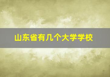 山东省有几个大学学校