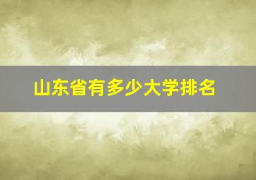 山东省有多少大学排名