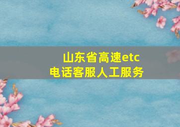 山东省高速etc电话客服人工服务