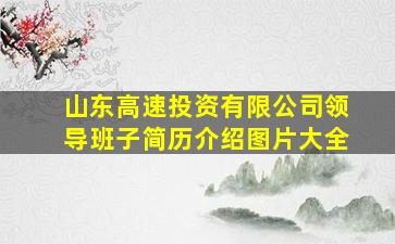 山东高速投资有限公司领导班子简历介绍图片大全