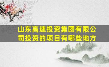 山东高速投资集团有限公司投资的项目有哪些地方