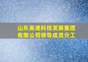 山东高速科技发展集团有限公司领导成员分工