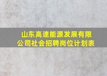 山东高速能源发展有限公司社会招聘岗位计划表