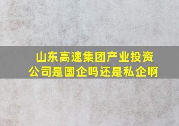 山东高速集团产业投资公司是国企吗还是私企啊