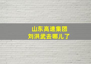 山东高速集团刘洪武去哪儿了