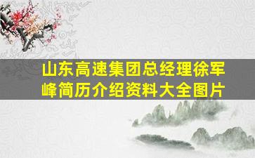 山东高速集团总经理徐军峰简历介绍资料大全图片