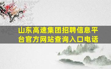 山东高速集团招聘信息平台官方网站查询入口电话