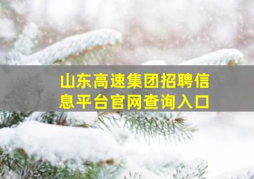 山东高速集团招聘信息平台官网查询入口