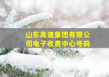 山东高速集团有限公司电子收费中心号码