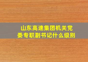 山东高速集团机关党委专职副书记什么级别