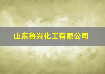 山东鲁兴化工有限公司