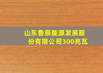 山东鲁辰能源发展股份有限公司300兆瓦