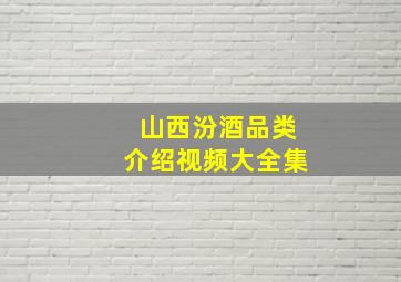 山西汾酒品类介绍视频大全集