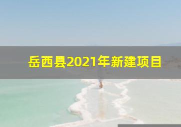 岳西县2021年新建项目