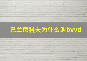 巴兰尼科夫为什么叫bvvd