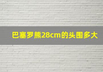 巴塞罗熊28cm的头围多大