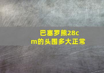 巴塞罗熊28cm的头围多大正常