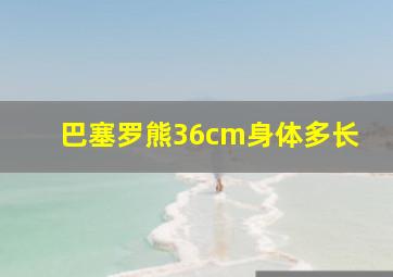 巴塞罗熊36cm身体多长