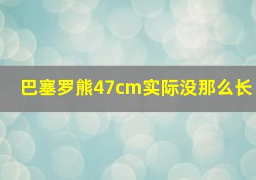 巴塞罗熊47cm实际没那么长