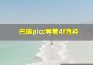 巴德picc导管4f直径