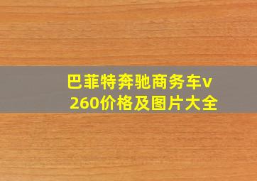 巴菲特奔驰商务车v260价格及图片大全