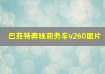 巴菲特奔驰商务车v260图片