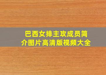 巴西女排主攻成员简介图片高清版视频大全