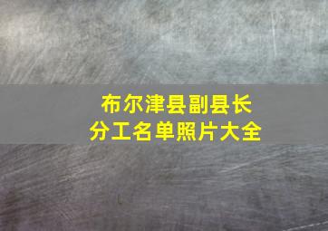 布尔津县副县长分工名单照片大全