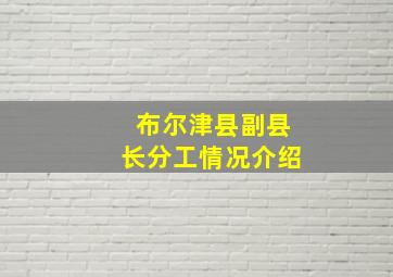 布尔津县副县长分工情况介绍