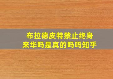 布拉德皮特禁止终身来华吗是真的吗吗知乎