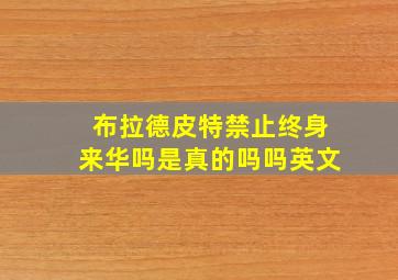 布拉德皮特禁止终身来华吗是真的吗吗英文