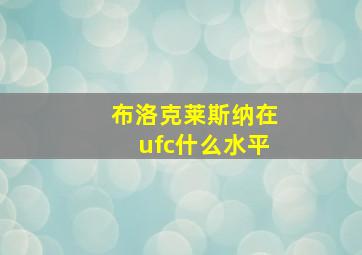 布洛克莱斯纳在ufc什么水平