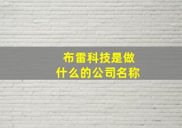 布雷科技是做什么的公司名称