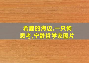 希腊的海边,一只狗思考,宁静哲学家图片